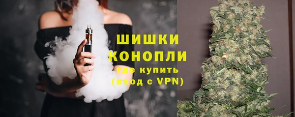 сатива Михайловка