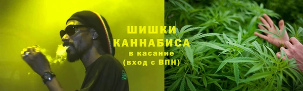 сатива Михайловка