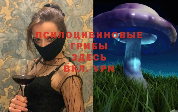 метадон Михайловск