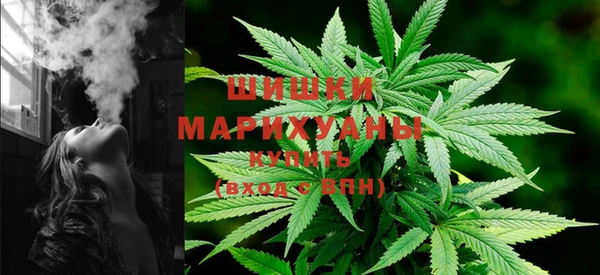 сатива Михайловка