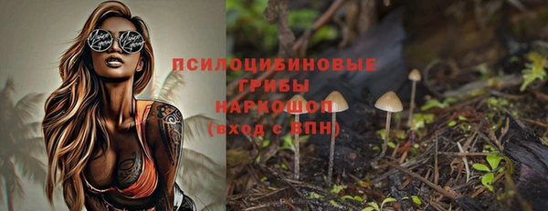 гидра Михайлов
