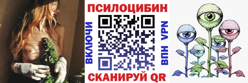 Псилоцибиновые грибы Magic Shrooms  Богородск 
