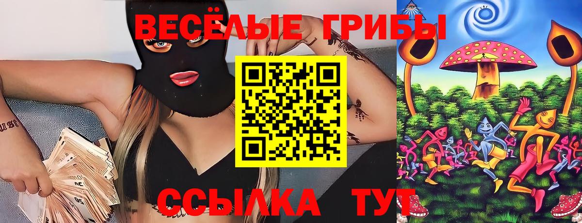 Галлюциногенные грибы Psilocybine cubensis  Галлюциногенные грибы прущие грибы  Богородск 