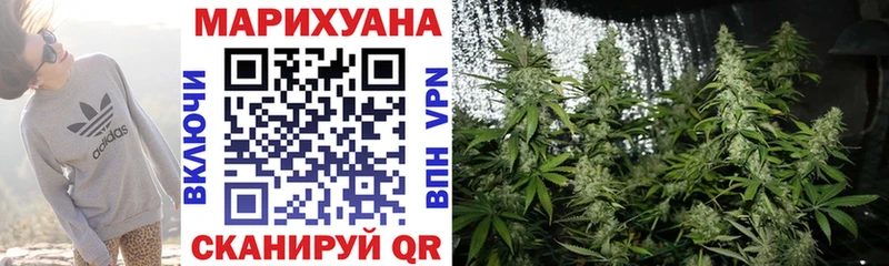 Бошки Шишки планчик Богородск